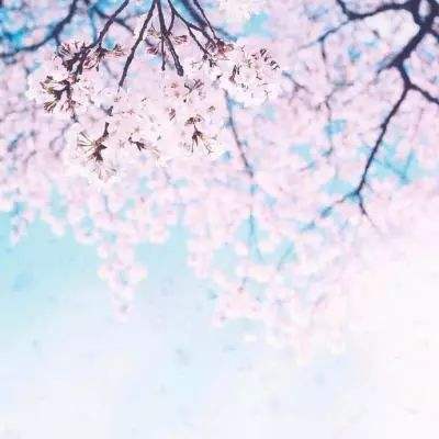 恐惧之书无敌版